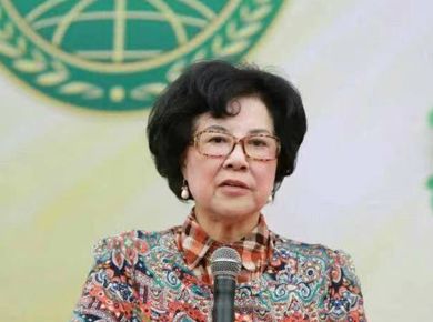 心理专家陈一筠老师